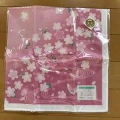 Item thumbnail for item 15a981e0-38ff-46b9-b565-ee327aaf59ad