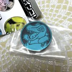 【新品未開封】ポケモンコインコレクション　第６弾　ワニノコ