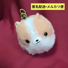 ふわもふ　ポメたん ぬいぐるみ　マスコット