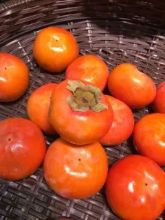 マハロ★様 リクエスト 2点 まとめ商品