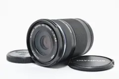 Item thumbnail for item 8c2f4a6c-9241-4b0a-b67f-ca63a06116fe