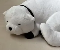 スパイファミリー ボンドぬいぐるみ