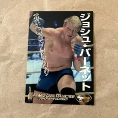 2026年最新】ジョシュ・バーネットの人気アイテム - メルカリ