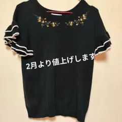 HEALTHY KAREN 黒 半袖ニット　花柄刺繍　フリル