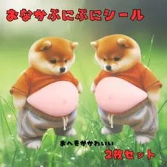 おなかぷにぷに シール 柴犬 ぷっくり 3D 立体 ステッカー 2枚 マシュマロ