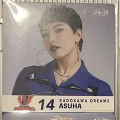 2025年最新】dリーグ トレーディングカードの人気アイテム