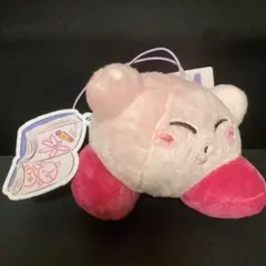 カービィ Dr.MORICKY マスコット やんちゃ