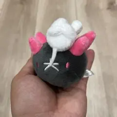 2025年最新】ナマコブシの人気アイテム - メルカリ