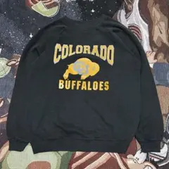 【希少】80s Hanes スウェット カレッジ ヴィンテージ 60s