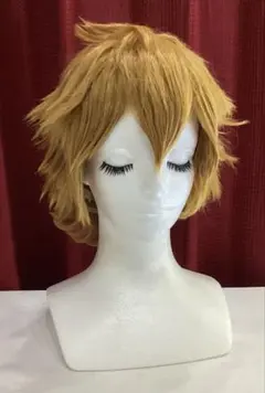 【ハイキュー!!】日向翔陽　コスプレ キャラ ウィッグw-0378
