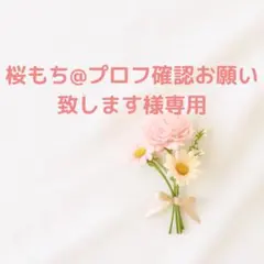 桜もち様 3点セット チョコカラー、サラサラ 2本セット、ラベル付き琥珀糖の箱
