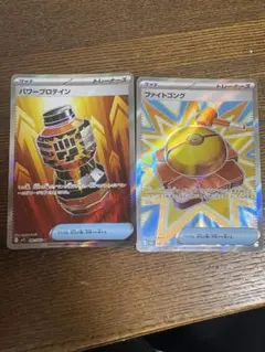 ファイトゴング　パワープロテイン　sr