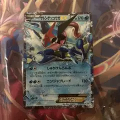 大特価 サトシゲッコウガEX プロモ テレビ東京電話版【ポケモンカード】 大特価 サトシゲッコウガEX プロモ テレビ東京電話版【ポケモンカード