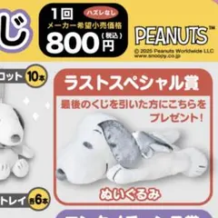 スヌーピー 当りくじ ぬいぐるみ ラストスペシャル ラストワン まとめ売り スヌーピー 当りくじ ぬいぐるみ ラストスペシャル ラストワン