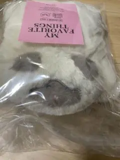 Item thumbnail for item 9a38eac0-58f1-487a-b9d1-5e0f83caa3aa