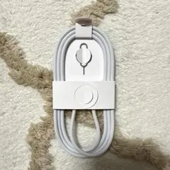 Apple 純正 充電ケーブル simピン付き 未使用　Type-C編み込み