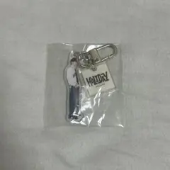 セブチ SEVENTEEN HOLIDAY アクキー ドギョム