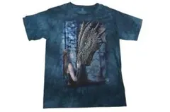 希少 XL｜THE MOUNTAIN ドラゴン Tシャツ タイダイ 龍