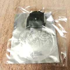 SHOW BY ROCK!! SB69 アイオーン LEDキーホルダー