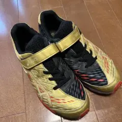 asics Lazerbeam 23.0cm