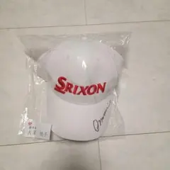 Item thumbnail for item f31a940f-2262-4982-8d12-e9362004db11