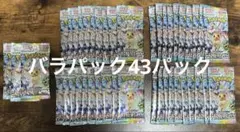 ポケモンカード テラスタルフェスex バラ43パック