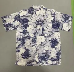 Item thumbnail for item 288e1c84-0aef-4c1c-8c63-8cf02d149ebb