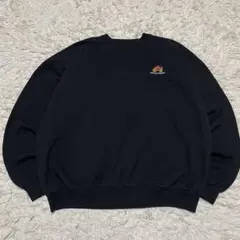 Hanes ヘインズ スウェット 刺繍ロゴ 太アーム ノームコア 胸ロゴ 古着