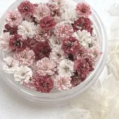 さんちゃん24様 リクエスト 5点 まとめ商品