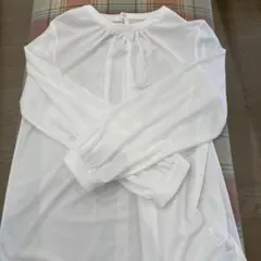 プラステ シャツ