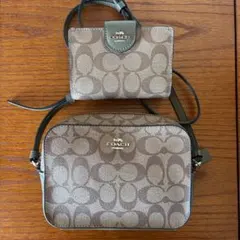 Item thumbnail for item 9eed429a-8bb6-435c-a0bc-6e2a52d0e543