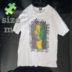 G*i様 【超希少 Mサイズ】Stussy Larry Clark Kate M G*i様 【超希少 Mサイズ】Stussy Larry Clark Kate M - メルカリ