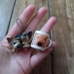 ザッドック キーホルダー