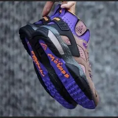 極美品！Nike ACG エアモワブ
