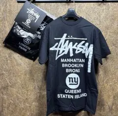 STUSSY ステューシー anything Tシャツ ワールド ツアー M