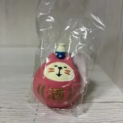 DECOLE concombre ほろ酔い猫だるま　お花見　日本酒❣️