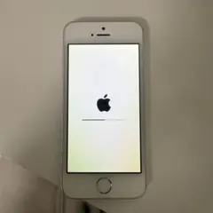 Apple iPhone5s 64GBシルバー