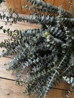 モモ様 リクエスト 2点 まとめ商品