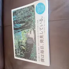 【希少！ギターのドローイング入り】坂口恭平 画集 Pastel 直筆サイン 2026年最新】坂口恭平 pastelの人気アイテム - メルカリ