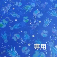 専用になります。鬼滅の刃