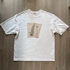 2026年最新】confect tシャツの人気アイテム - メルカリ