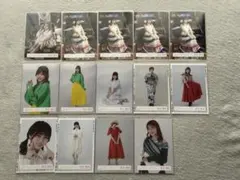 櫻坂46 武元唯衣 生写真 まとめ売り 14点
