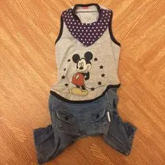 ペットパラダイス ミッキー 犬服 DSサイズ