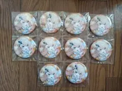 ホロライブ 6th fes. 缶バッジ 風真いろは 25点セット ホロライブ 6th fes. 缶バッジ 風真いろは 25点セット