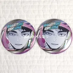 ハイキュー ファンパーク コレクション缶バッジ「FAN!!」 牛島若利 2点