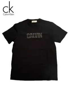 【新品】Calvin Klein カルバンクラインロゴラバーTシャツ黒 L