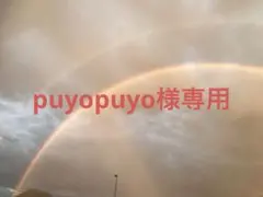 puyopuyo様専用ページ
