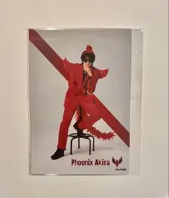 高野洸