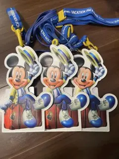 未使用品　ミッキーマウス バケーションパッケージ　パスケース　3個セット