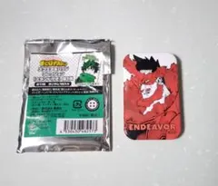 ヒロアカ　スクエア缶バッジコレクション　エンデヴァー